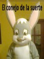 /album/fotogaleria-inicio/foto0050-001-jpg/